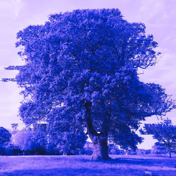 PDS, Partito Democratico dei Sionisti